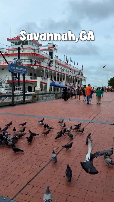 Instagram post by @the.travel.ksu for Toyota USA. Caption reads: Savannah is always a good idea 🩵 and being only....