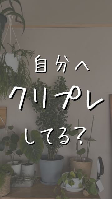 Instagram post by @mido_botanical for AND PLANTS. Caption reads: 他の投稿も見る👀
@mido_botanical

こんばんは
みどです

お立ち寄ちくださり
あ....