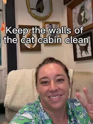 TikTok post by @bulldogsandbaggage for Angry Orange. Caption reads: [...] cats. 😂 I’ve also been using @Angry Orange....