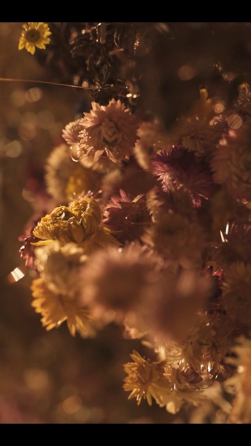 Instagram post by @saatchigallery_learning for Saatchi Gallery. Caption reads: 🗣️ “I began collecting flowers in 2003 with waste....