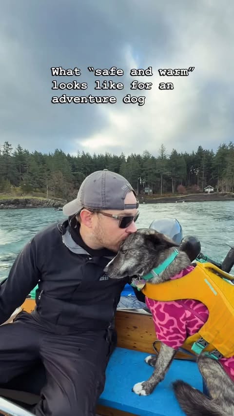 Instagram post by @adventuresofzorra for Ruffwear. Caption reads: Remote island cabin essentials 

Z’s @Ruffwear....