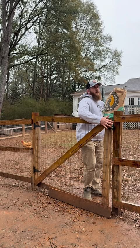 Instagram post by @bandrhomestead for Scratch and Peck Feeds. Caption reads: The 2 most important things when raising chickens....