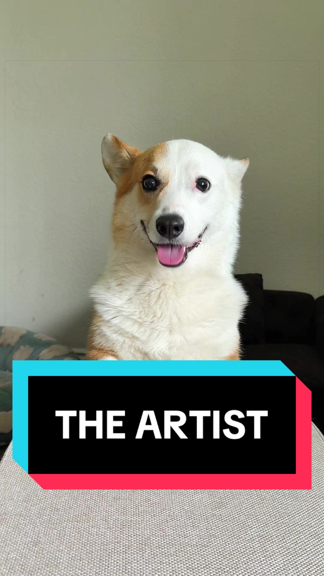 TikTok post by @bosley.the.corgi for Larleaf. Caption reads: [...] the memories in your pet’s unique art....