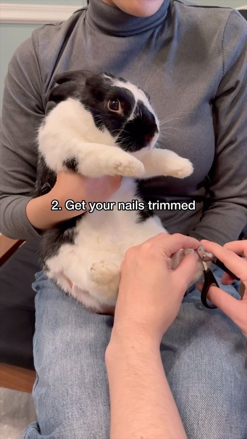 Instagram post by @oreo.thebunnyrabbit for Oxbow Animal Health. Caption reads: “I don’t think this spa day is too relaxing” -....