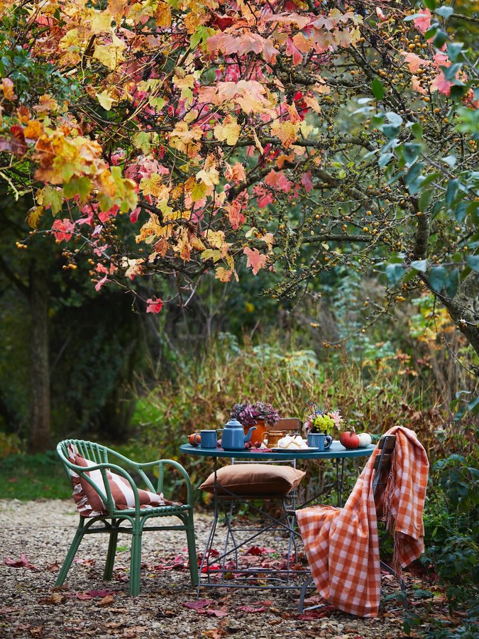 Instagram post by @selinalake for Country Living. Caption reads: [...] a pleasure to style for my latest....