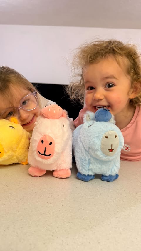 Instagram post by @raisinglottieandindie for Capy Era. Caption reads: [...] in their capybara era 🥰

thank you to....