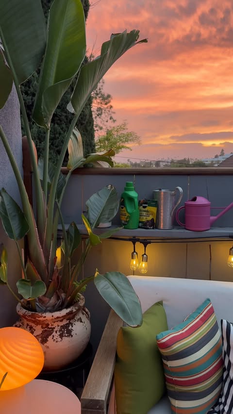 Instagram post by @highboyla for Miracle-Gro. Caption reads: Plant care = self care!!! @miraclegro We’ve been....
