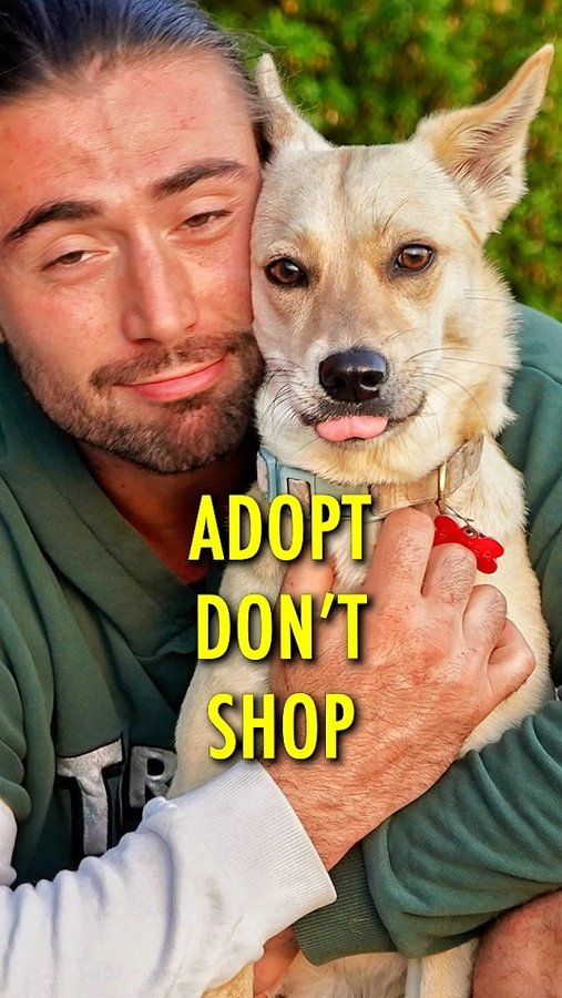 Instagram post by @bretmaverick_ for Paysend. Caption reads: Adopting an Aspin 👉🏻 @butterbeenz 🐕  was the....