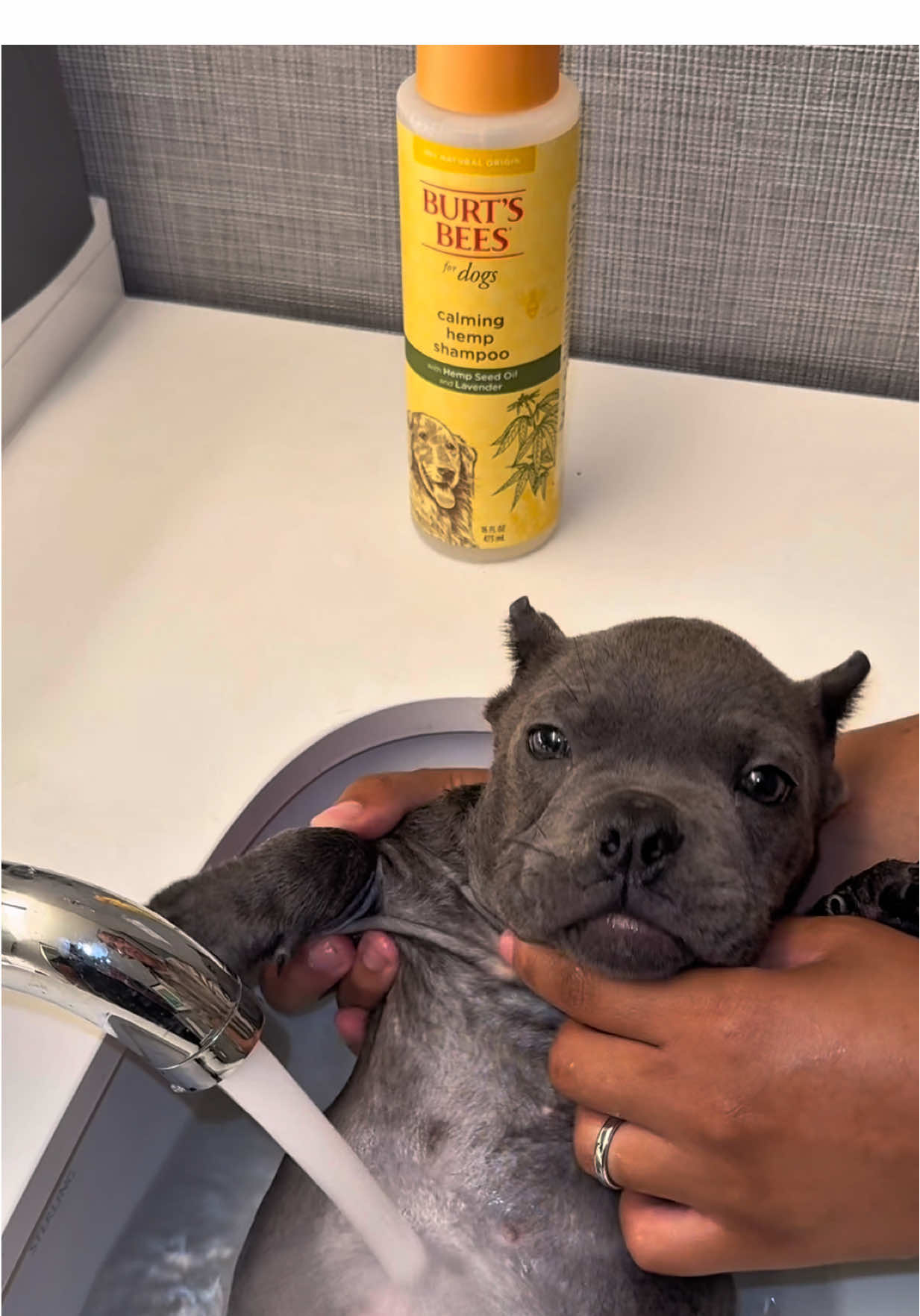 TikTok post by @c.kcountrystyle for Burt's Bees. Caption reads: Bath time with Blue Ivy 🥰 @Burt's Bees AD....