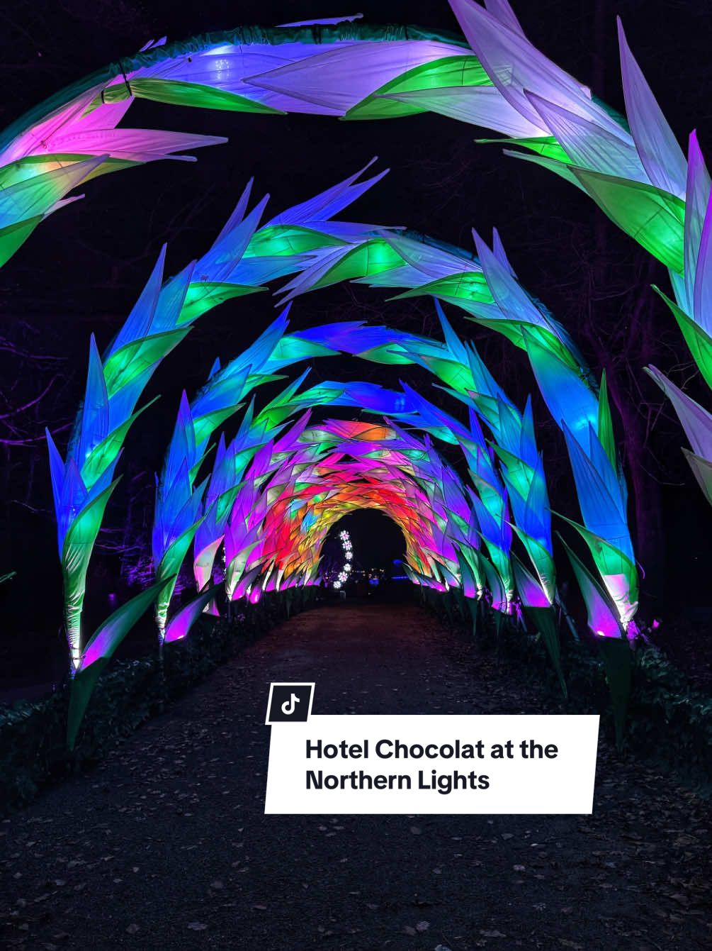 TikTok post by @the.manc for Hotel Chocolat. Caption reads: [...] trails? Sign us up ✨☕️ You can find @Hotel....