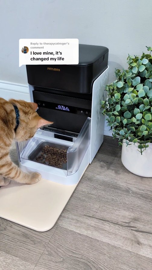 Instagram post by @itscookie.cat for Petlibro. Caption reads: Life changing. Seriously. They make meal time so....