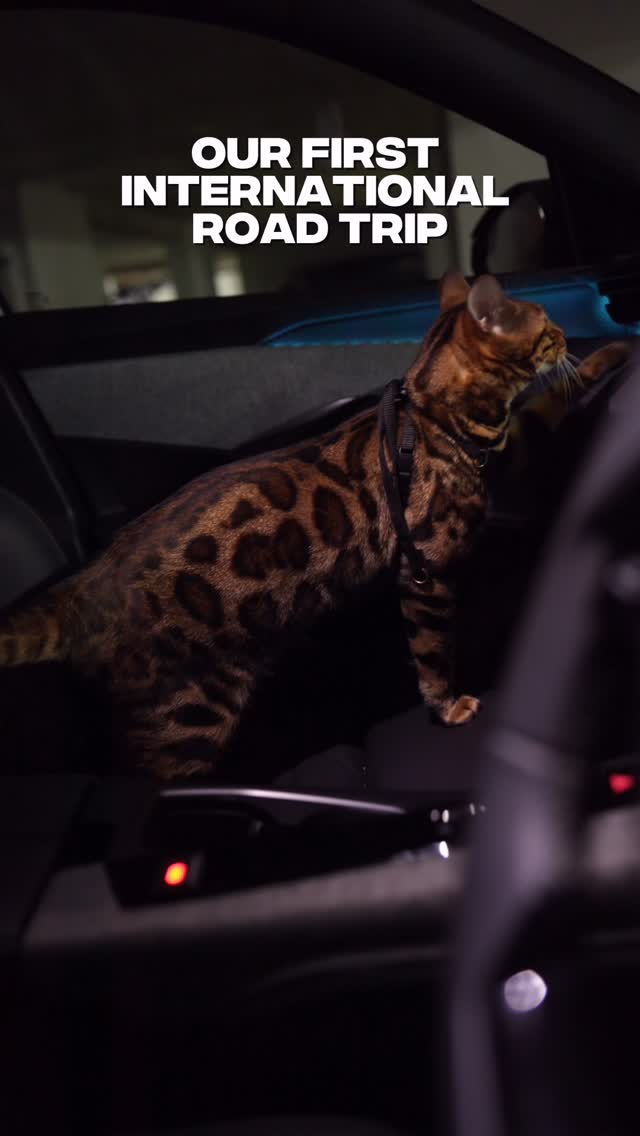Instagram post by @lupininlondon for Peugeot. Caption reads: Lupin in Paris 🚙👨🏾‍🤝‍👨🏻🐆🐈‍⬛

@peugeotuk....