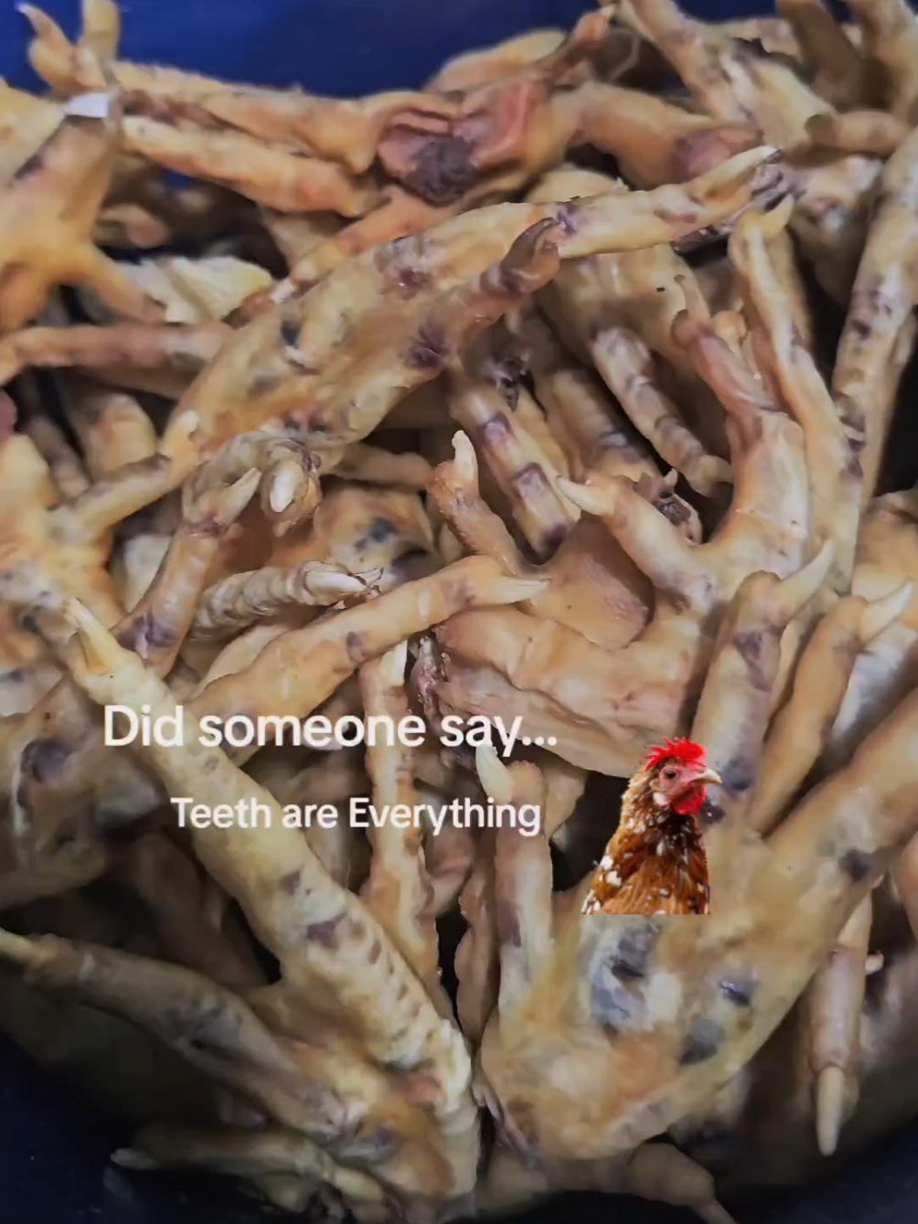 TikTok post by @titan.the.shepherd for King Lou. Caption reads: Dog dental health is as crucial as human dental....