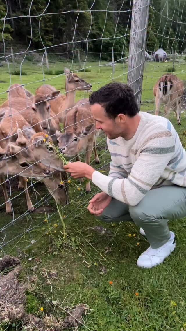 Instagram post by @innerhoferchristof for Falconeri. Caption reads: Dinner with friends – just a little wilder.....