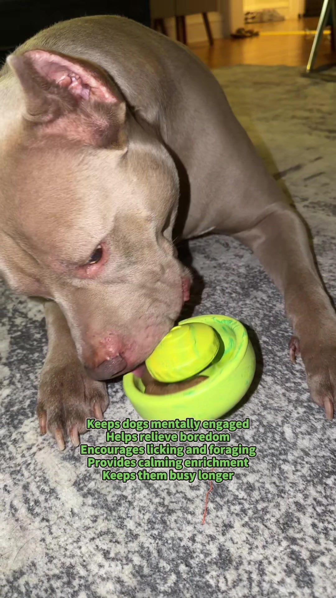 TikTok post by @_alpha_090 for Benebone. Caption reads: [...] and happily working for their treats!....