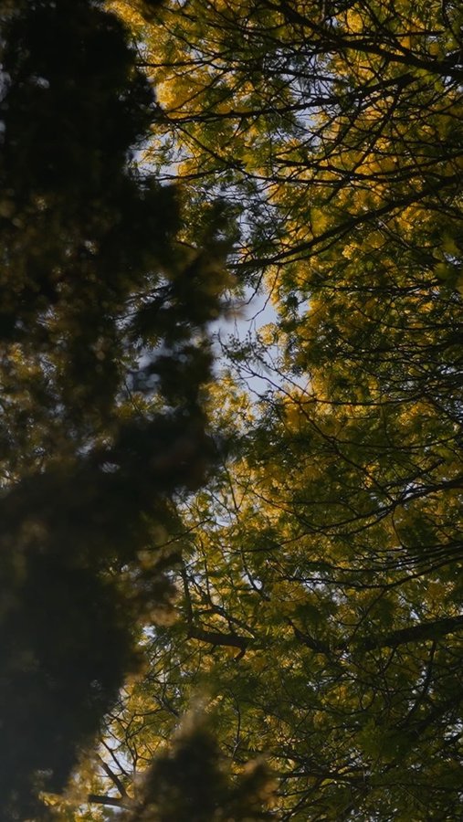 Instagram post by @michelleylens for Adobe Stock. Caption reads: Maybe we should stop trying to chase happiness....