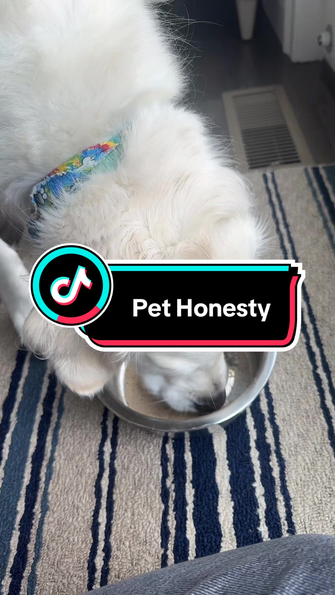 TikTok post by @kellyrosesarno for PetHonesty. Caption reads: [...] her breath fresh so much easier! #pethonesty....