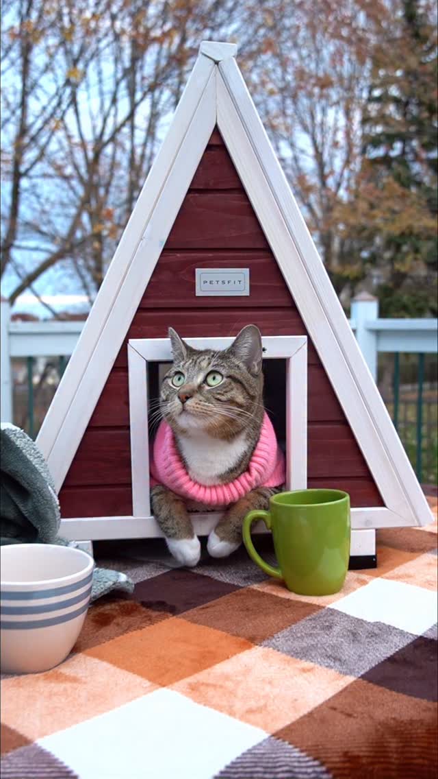 Instagram post by @meeloandmina for Petsfit. Caption reads: [...] of life ✨This cozy cat house from....