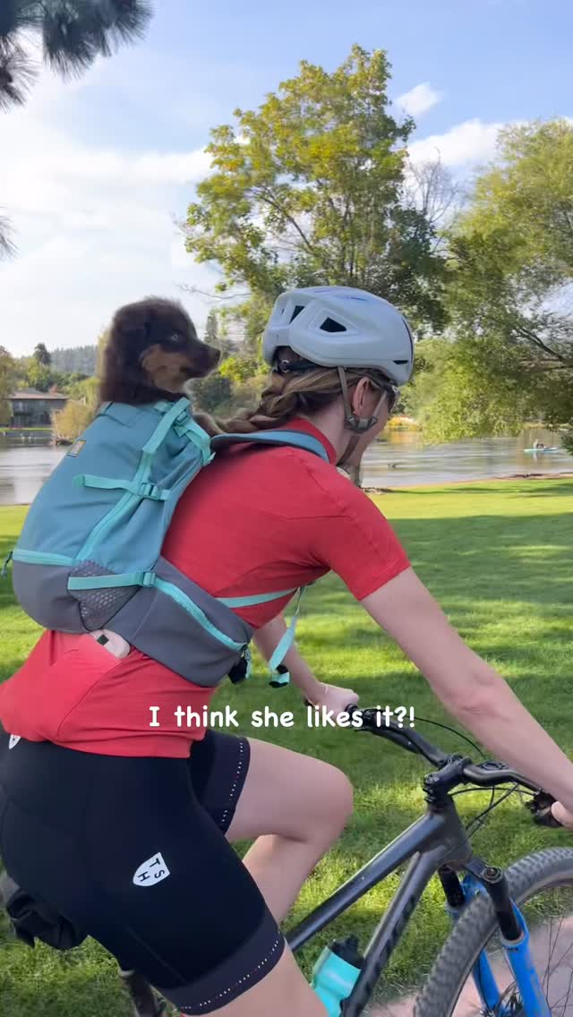 Instagram post by @katie_fogel for Ruffwear. Caption reads: Philly is officially ready for bike adventures....