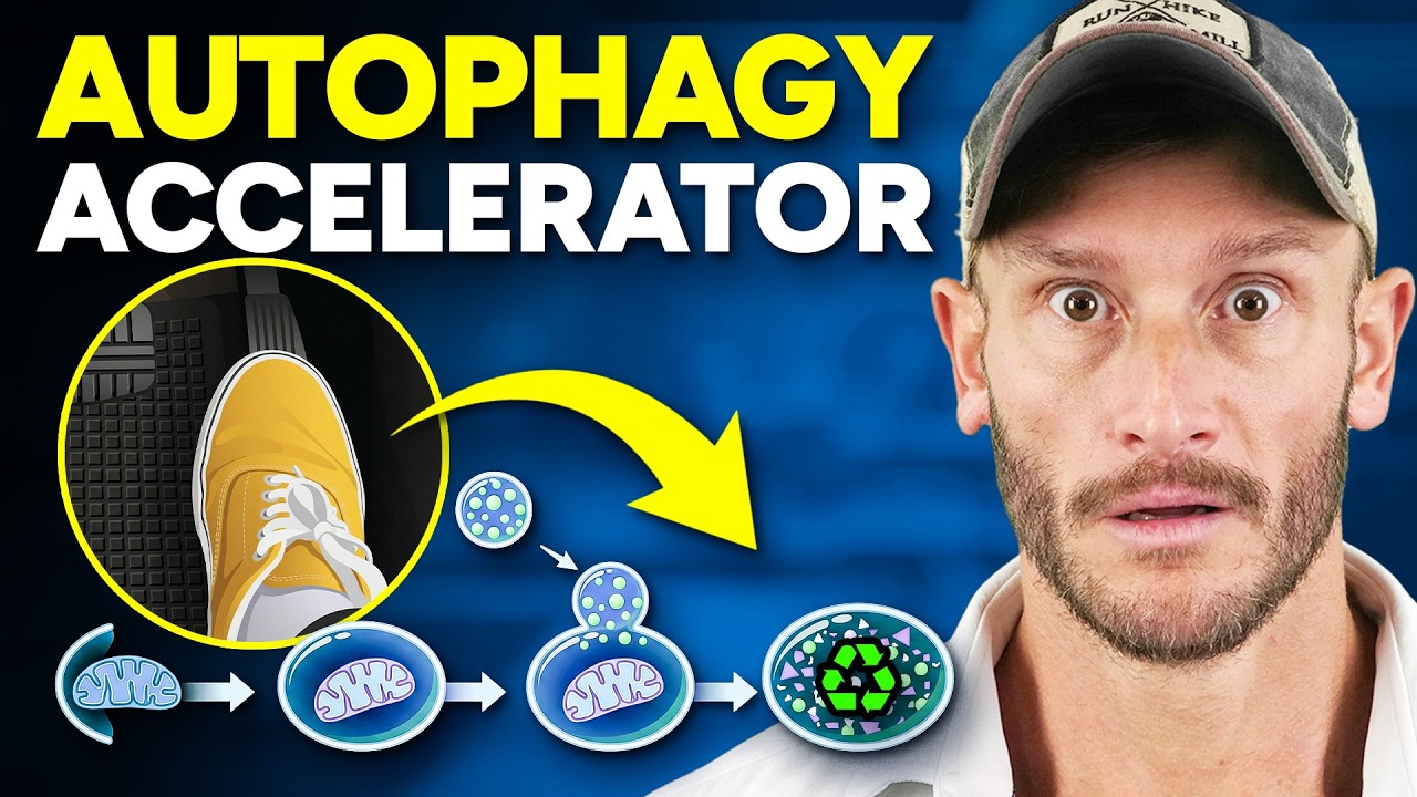 YouTube post by @ThomasDeLauerOfficial for LMNT. Caption reads: This Will 3X Autophagy Almost Immediately (makes....