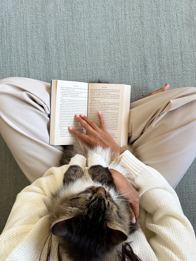 Instagram post by @rachellsund for Aritzia. Caption reads: Dear Aritzia, Cuddles with the kittens, a few....