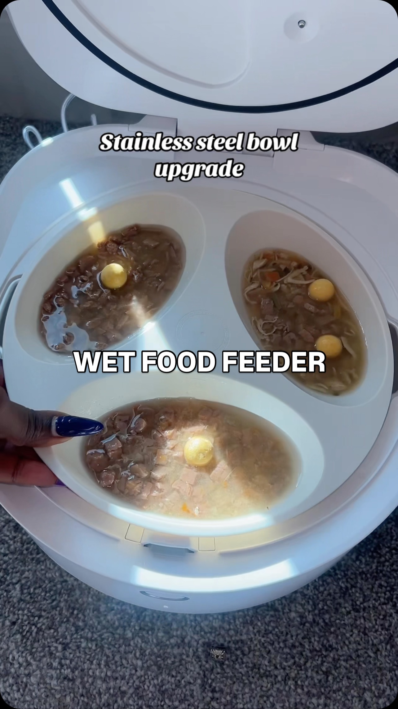 Instagram post by @africaqueenz for Petlibro. Caption reads: LINK IN CAPTION & BIO FOR THE WET FOOD....