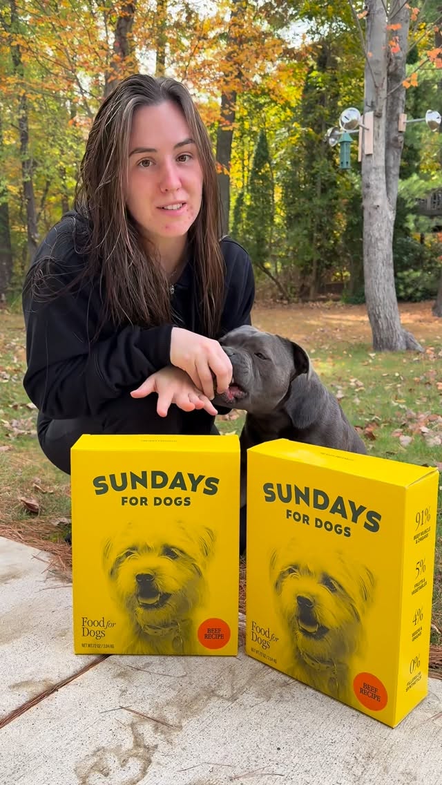 Instagram post by @enzothebluestaffordshire for Sundays for Dogs. Caption reads: Sundays for dogs 
We love @sundaysfordogs because....