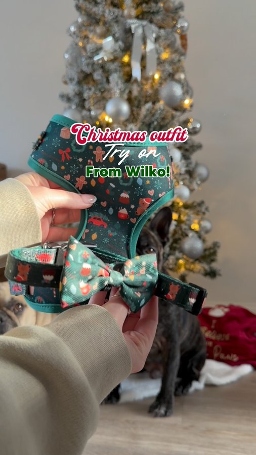 Instagram post by @trufflebirch for Wilko. Caption reads: [...] Christmas outfits this year with @lovewilko....