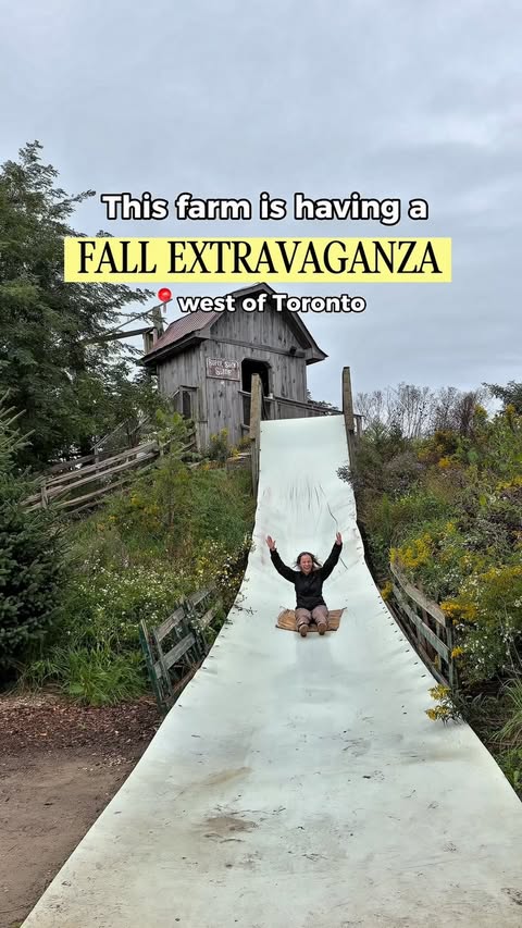 Instagram post by @clovermead_ for Toronto/GTA Business Promotions & Collaborations. Caption reads: If you’re looking for a fall fest that has it all,....
