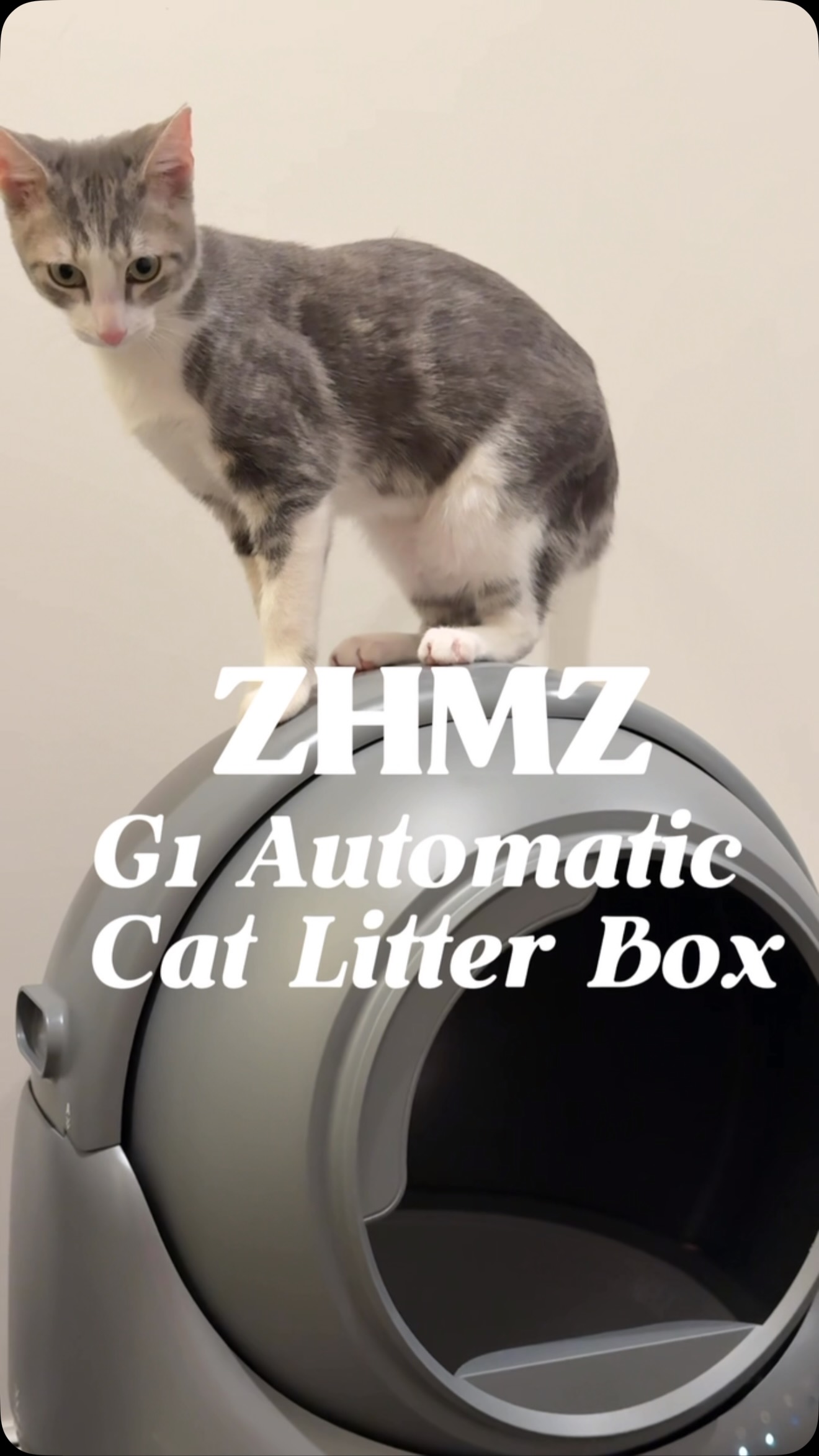 Instagram post by @samcyildiz for Amazon Pets. Caption reads: Say goodbye to messy litter boxes! 🐾✨ The G1....