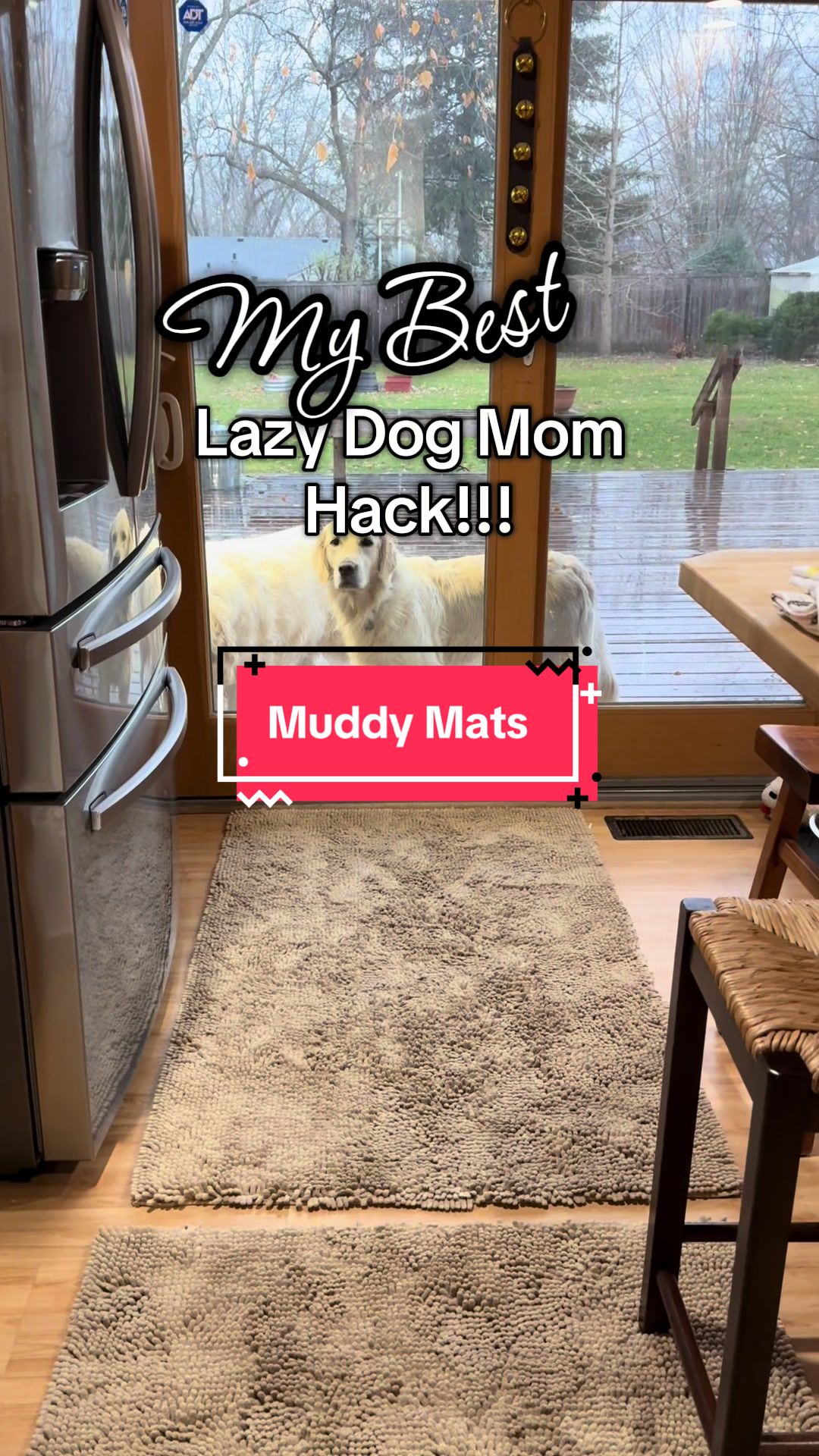 TikTok post by @ollie_and_co for Muddy Mat. Caption reads: [...] rugs wipe their paws off for you! @Muddy Mat....