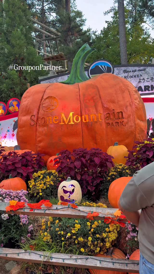 Instagram post by @cabrina_dixon for Groupon. Caption reads: Okay, but who knew @groupon had deals this good?!....