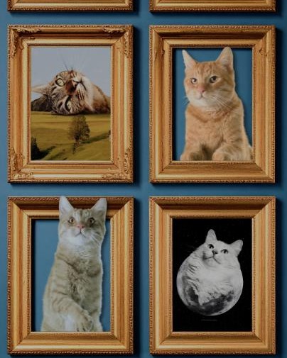 Instagram post by @mrmattmccarthy for Adobe Photoshop. Caption reads: Meet Matt (@mrmattmccarthy), a visual artist and....