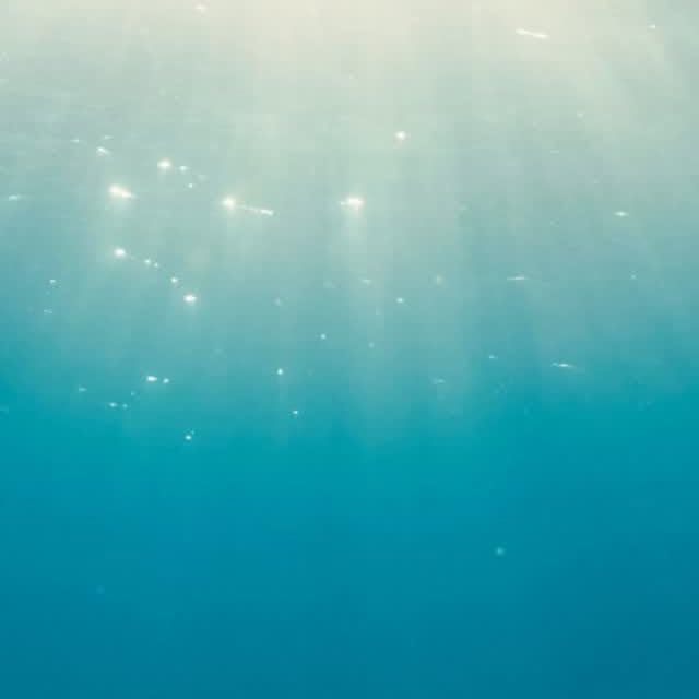 Instagram post by @williamdrumm for Citizen Watch. Caption reads: Anyone who has spent time underwater knows that....