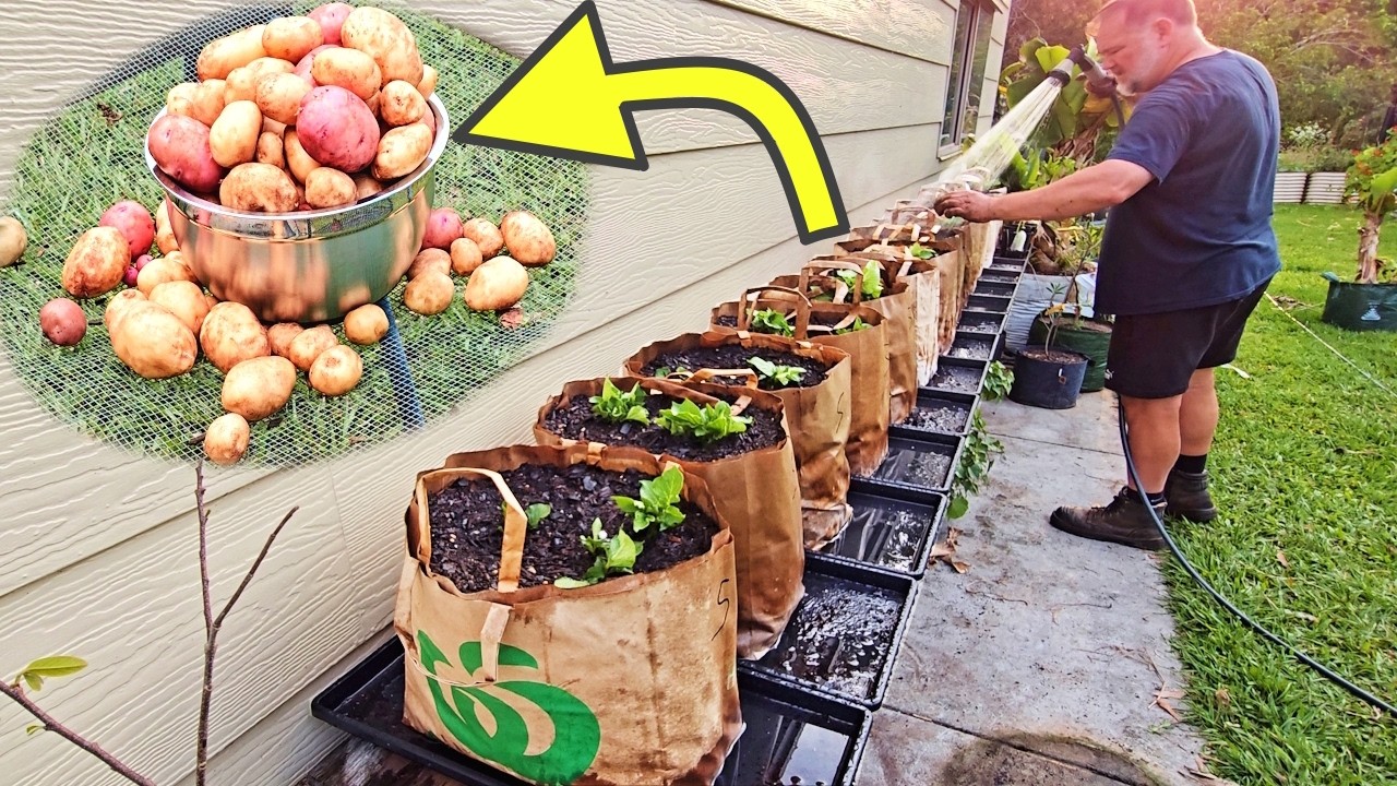 YouTube post by @Selfsufficientme for Epic Gardening. Caption reads: I Grew Potatoes in Supermarket Paper Bags — Here’s....