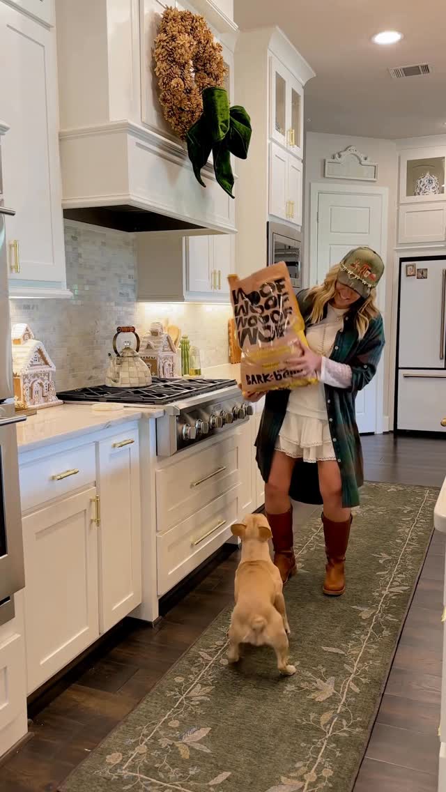 Instagram post by @thedowntownaly for BarkBox. Caption reads: We already love our monthly @bark boxes filled....