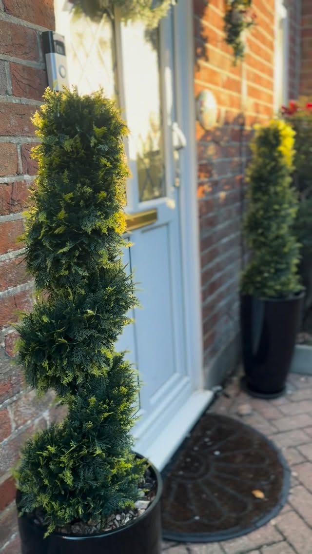 Instagram post by @parlatos_family for AliExpress. Caption reads: I’ve been looking for the perfect greenery to....