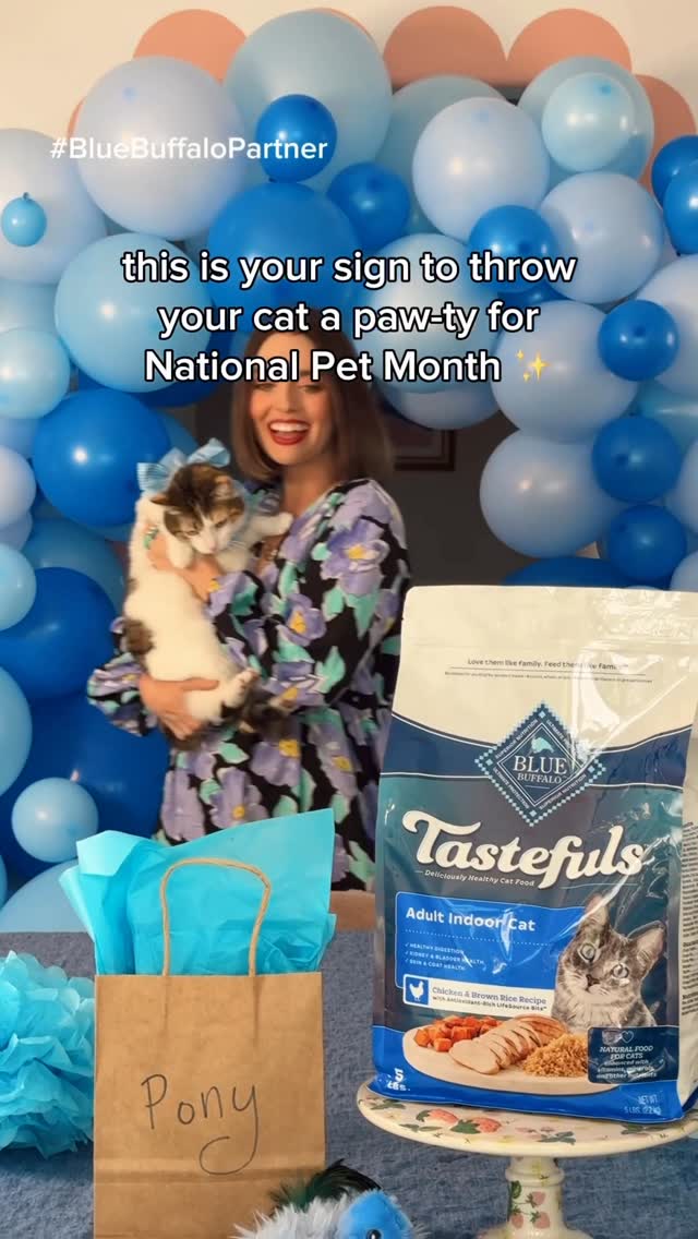 Instagram post by @champagneunicorns for Blue Buffalo. Caption reads: May is National Pet Month—aka the purr-fect excuse....
