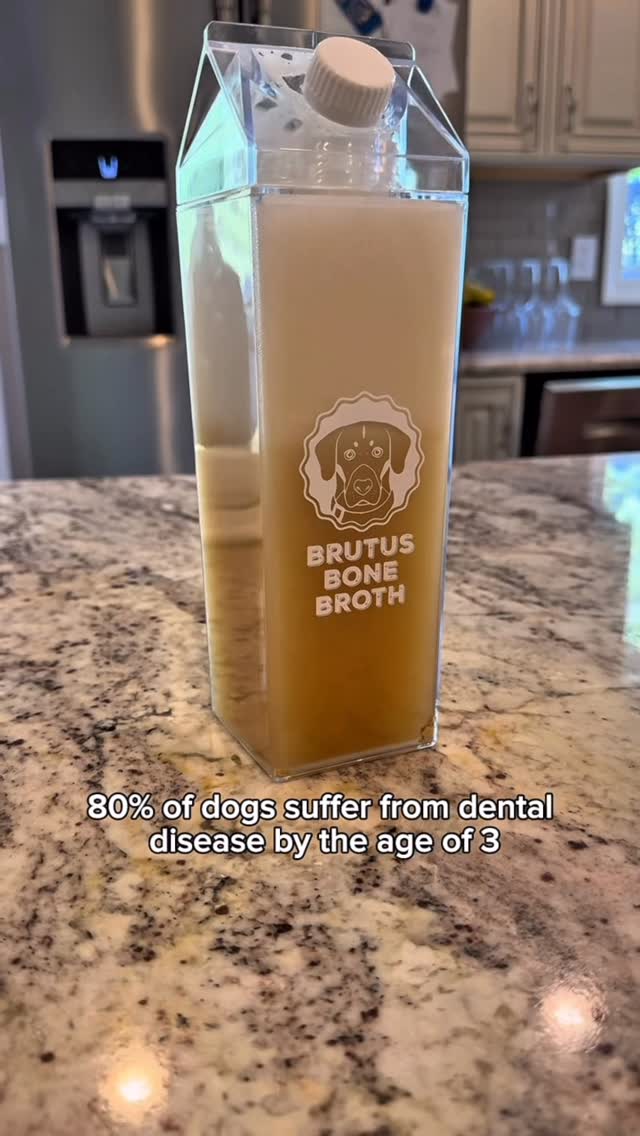 Instagram post by @sayitoncedogtraining for Brutus Broth. Caption reads: We all know bone broth is great for humans, but....