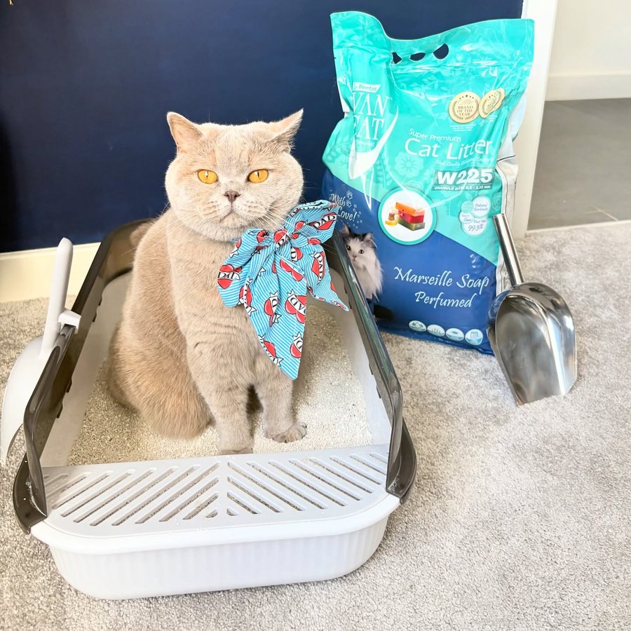 Instagram post by @isabella_and_zachary for VanCatUK. Caption reads: It’s Father’s Day weekend, so I’ll acknowledge....