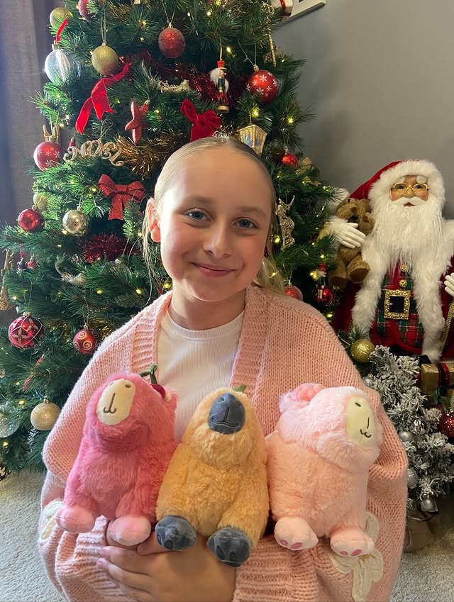 Instagram post by @craftycassie765 for Capy Era. Caption reads: [...] cute are these Capybara plushies from....