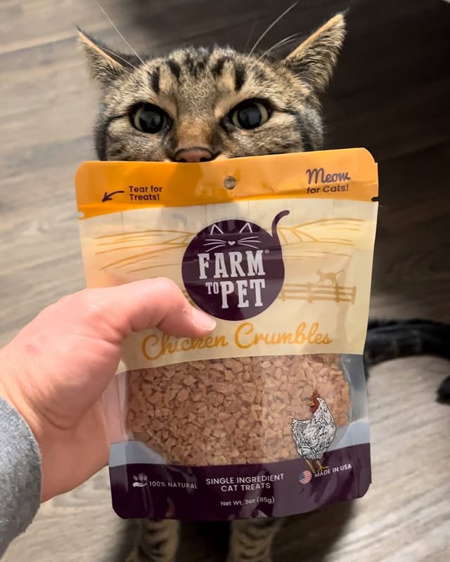 Instagram post by @rocket_the_cat_official for Farm to Pet. Caption reads: Have you tried out @farmtopet and their healthy,....