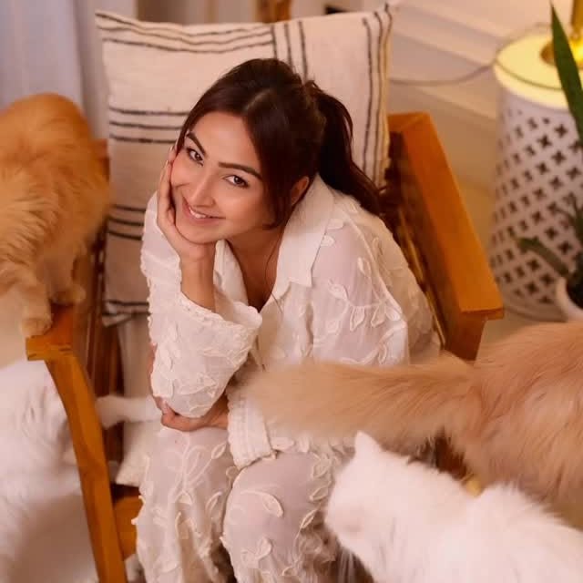 Instagram post by @anmolbhatia_ for Dyson. Caption reads: Cat mom approved! 😻
what made a mess, dyson....