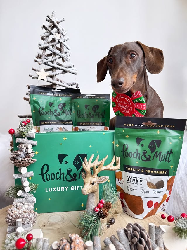 Instagram post by @frankie_dachshund03 for Pooch and Mutt. Caption reads: BLACK FRIDAY DEALS

Get a PAWSOME 37% DISCOUNT....