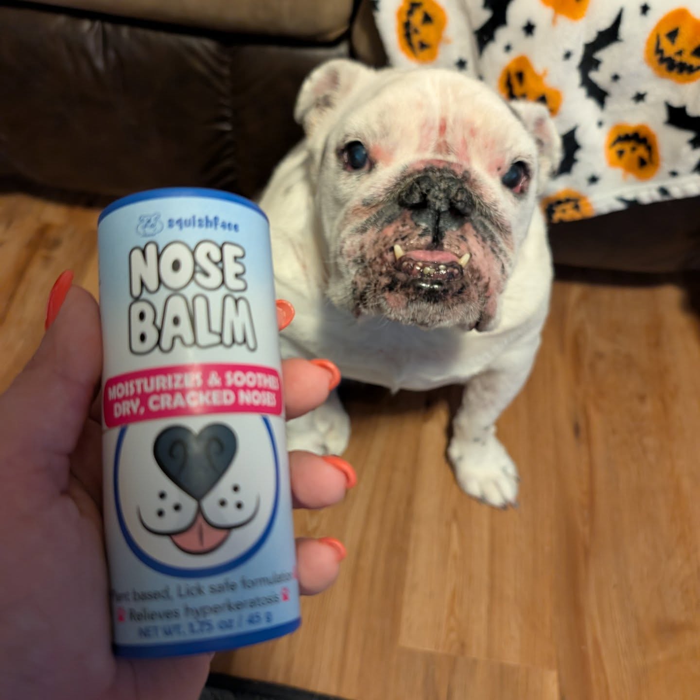 Instagram post by @wendy.and.rolo for Squishface. Caption reads: [...] are obsessed with this nose balm from....