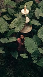 Instagram post by @caoilfhionnrose for Small Luxury Hotels. Caption reads: DAY 3 - Marrakech 🇲🇦 

Has a destination ever....