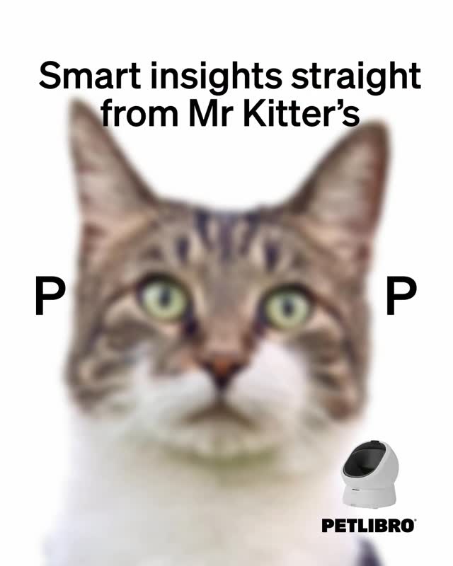 Instagram post by @mr.kitters.the.cat for Petlibro. Caption reads: [...] of his dumps!💩We partnered with @petlibro....