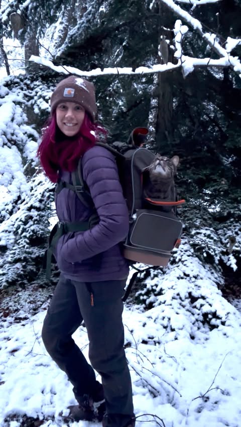 Instagram post by @mo_mountain_mutts for Petsfit. Caption reads: We got our new WildPath pet backpack by Petsfit!....