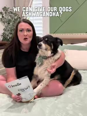 TikTok post by @kate_xo.5 for Kradle. Caption reads: [...] in calming supplements for dogs too. Kradle....