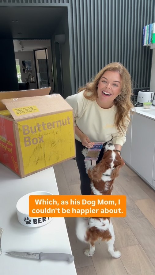 Instagram post by @doireanngarrihy for Butternut Box. Caption reads: #AD Bertie 🤝 @butternutbox 🐶 Best subscription....